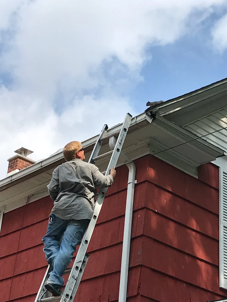 Pest & Wildlife Control Rochester & Buffalo NY